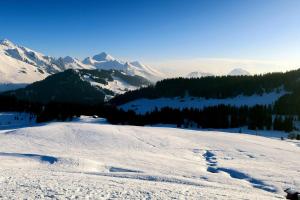 Appartements Logement 3 etoiles avec vue imprenable sur les montagnes, ski bus : photos des chambres