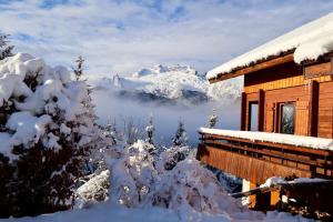 Logement 3 étoiles avec vue imprenable sur les montagnes, ski bus