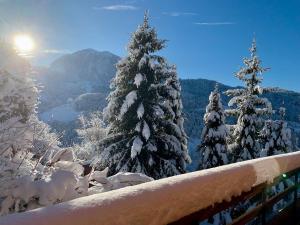 Appartements Logement 3 etoiles avec vue imprenable sur les montagnes, ski bus : photos des chambres