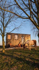 Chalets Tiny House Le Haras en Baie de Somme : photos des chambres
