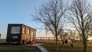 Chalets Tiny House Le Haras en Baie de Somme : photos des chambres