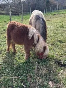 Agriturismo B&B La Cerasa - 瓜尔多塔迪诺