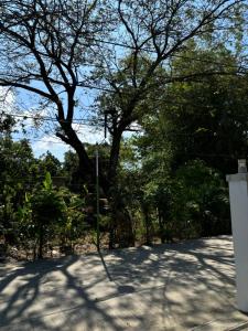 Heritage Haven Guesthouse