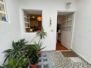 Shared Apartment With Bright Private Patio in Lisboa