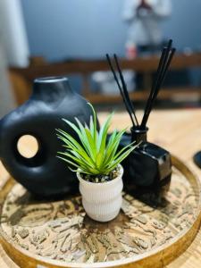 Riamus Luxury Apartment