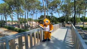 Campings Camping 5 etoiles - Piscine - ccb0e0c : photos des chambres