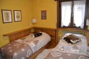 Ground floor with garden