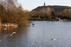 A beautiful Town home