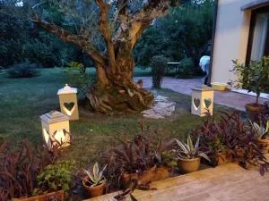 A casa di Jolanda - Trivignano