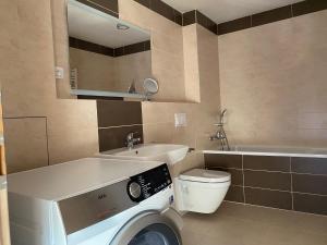 Penthouse mit Balkon in zentraler Lage in Pilsen