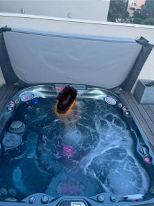 Très beau duplex avec Jacuzzi privatif