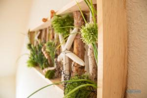 Ferienwohnung Seestern