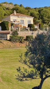 Villa with Pool and Boule right on Alhaurin Golf