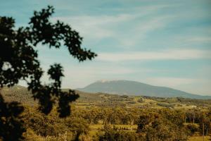 Cabane La Fontaine du Figuier