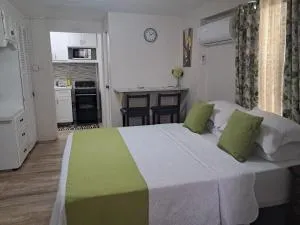 Michand Guest Apartments- Cozy one or two bedroom- 5 walk minutes from airport 10 mins drive to Oistins or beach - Heddings
