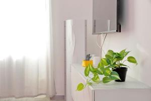 House Sabrina Aurelio