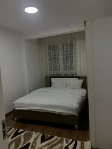 Fushe kosova - 米特罗维察