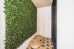 Intendente Prime Studio by Hosty