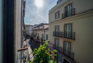 Intendente Prime Studio by Hosty