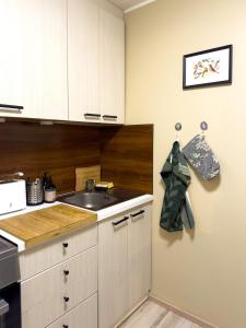 Stylish 2-Room Apt Near Kadriorg