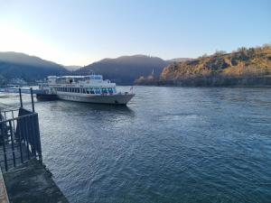 Holiday Rhein Cornea 1