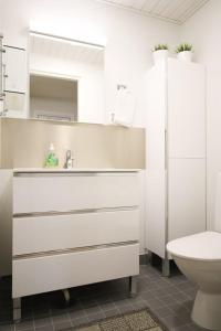 Uniikki kolmio Aurajokinäkymin