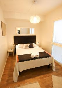 Uniikki kolmio Aurajokinäkymin