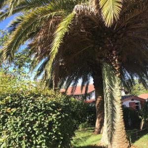 chambre avec terrasse et coin repas
