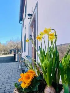 Haus Erna Weitra - Hörmanns bei Weitra