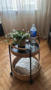 Cozy Apartment- Self Check- In