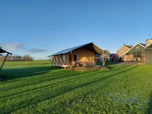 Glamping Franse Peer - Hasselt