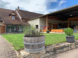 La Bétamotte: Maison entière avec piscine dans le parc du Morvan