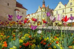 Apartament Przy Starówce - Hampton - Wizow