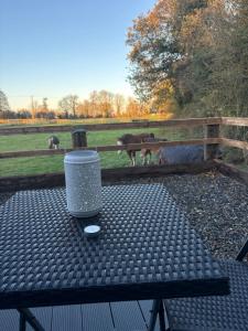 The Hideaway Glamping Pod 2 With Hot Tub & Cold Shower