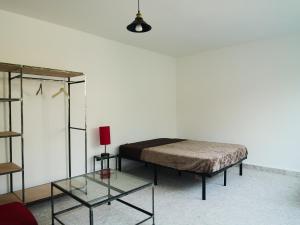 Apartamento nuevo con vistas a jardín cerca de Coyoacán