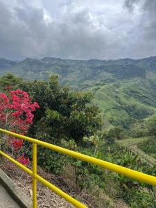 Andean Mot Mot Coffee - Puerto Asís Farm