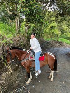 Andean Mot Mot Coffee - Puerto Asís Farm