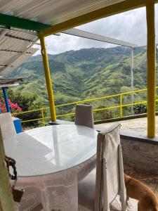 Andean Mot Mot Coffee - Puerto Asís Farm