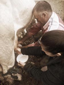 Andean Mot Mot Coffee - Puerto Asís Farm