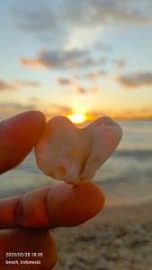 Mahkota Atia Bungallow