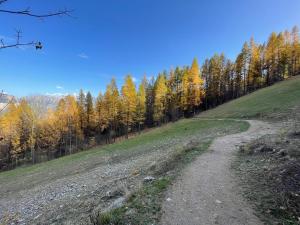 Superbe appartement avec balcon