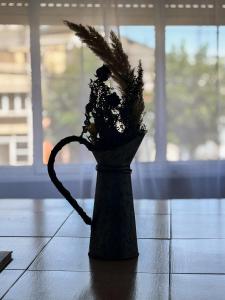 Alma Patagónica, Tu Departamento en el Centro