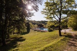 Maisons de vacances Residence Au pre de l-arbre : photos des chambres