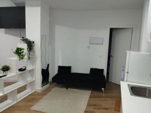 Apartamento tipo Loft HM Vista Alegre Madrid