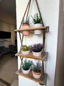 Résidence Port Royal - Appartement 6 couchages au centre du Grau du roi MAE-9831