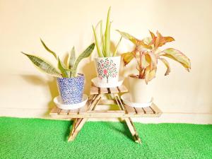 Bohemian Rhapsody - Queens