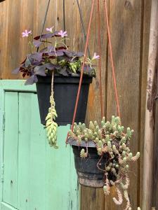 Casa de Sítio Riacho Doce