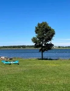 Foxley River WaterFront Cottage - Rexton