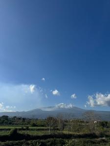Charming Beachfront Retreat
