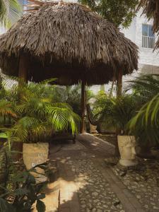 Surfer Grill, Alojamiento en puerto Colombia, Pradomar, Habitación León